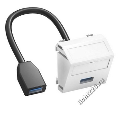 6104940OBO Bettermann Мультимедийная рамка с разъемом USB 3.0 A-A [тип: MTS-U3A F AL1] (арт. OBO6104940)