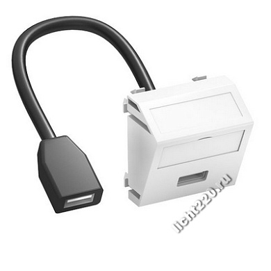 6104913OBO Bettermann Мультимедийная рамка с разъемом USB 2.0 A-A [тип: MTS-U2A F SWGR1] (арт. OBO6104913)